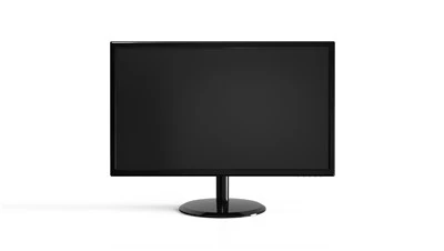 VESA PC IPS FHD 1080p LED PC Monitor Freesync Gsync